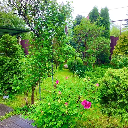 Деревянный коттедж Good House *